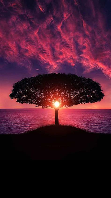 Top Free 4K Mobile Backgrounds .